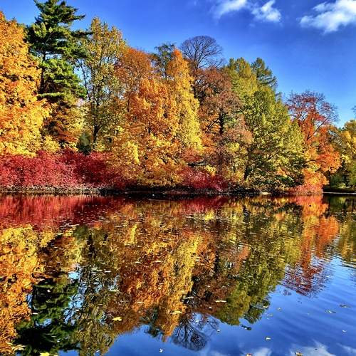 Photo #11829754