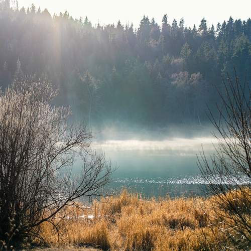 Photo #11829760