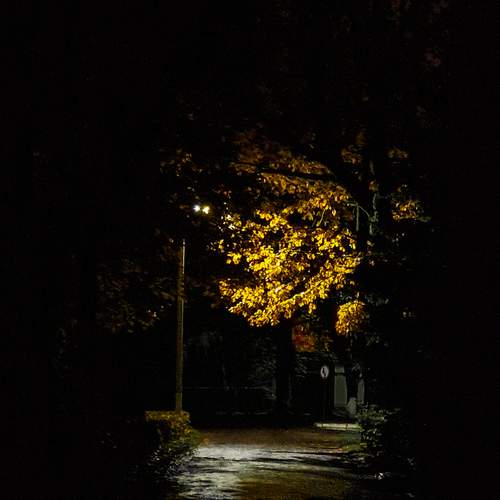 Photo #11829784