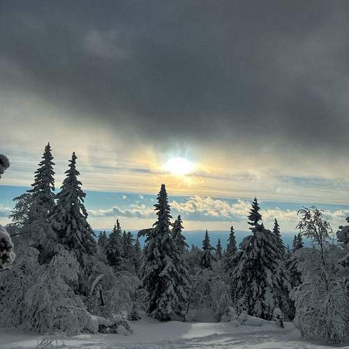Photo #11829835