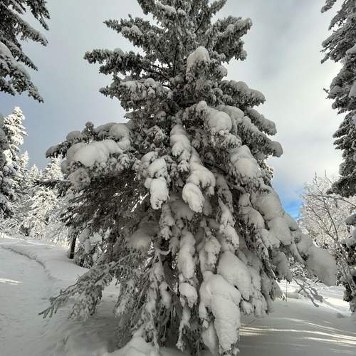 Photo #11829840
