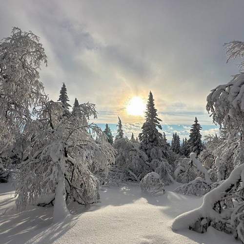 Photo #11829842
