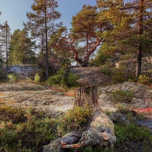 Photo #11829895