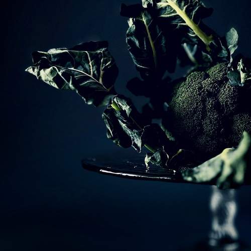 Photo #11829905