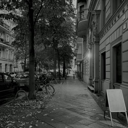 Photo #11830078