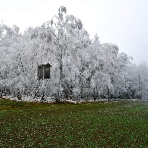 Photo #11830094