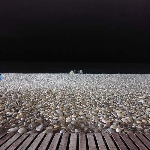 Photo #11830187