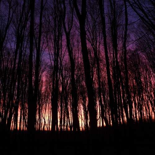 Photo #11830306
