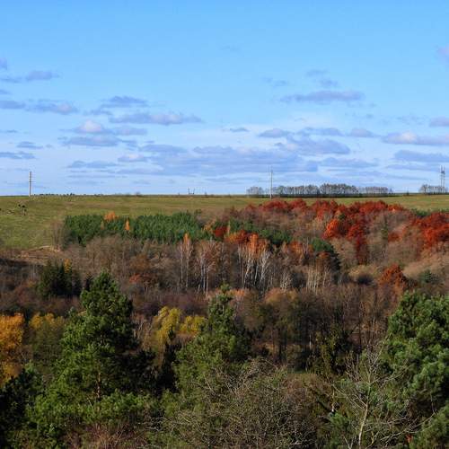 Photo #11830337