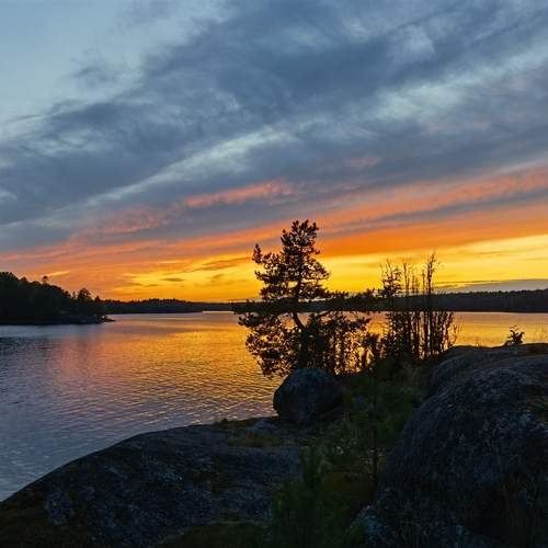 Photo #11830449