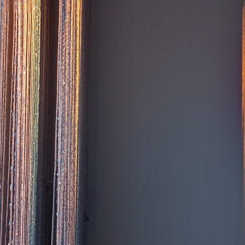 Photo #11830521