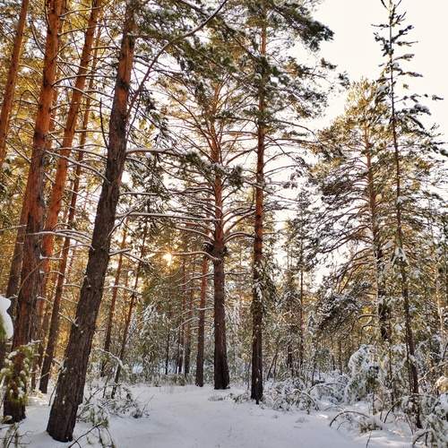 Photo #11830701