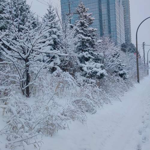 Photo #11830947