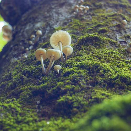Photo #11831118