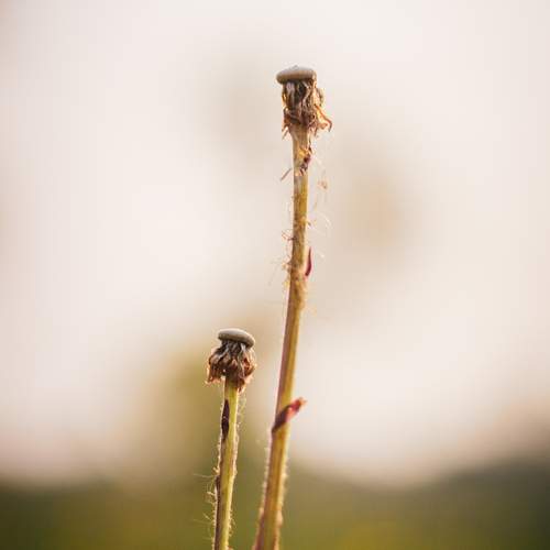 Photo #11831191