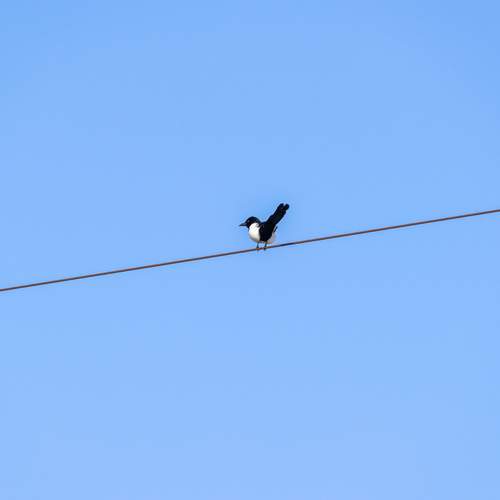 Photo #11831462