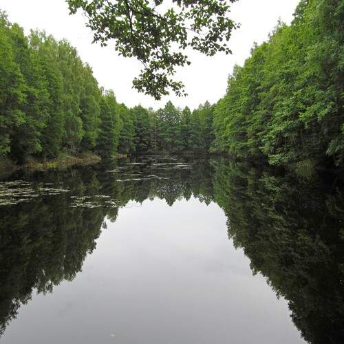 Photo #11831519