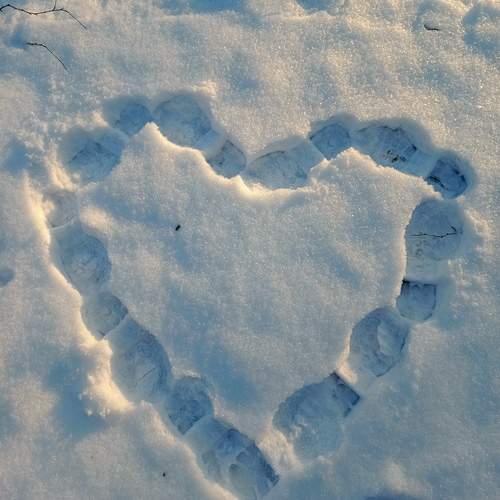 Photo #11831540