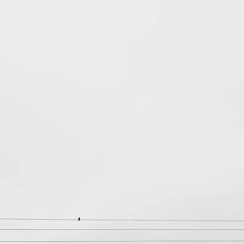 Photo #11831581