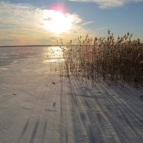 Photo #11831584