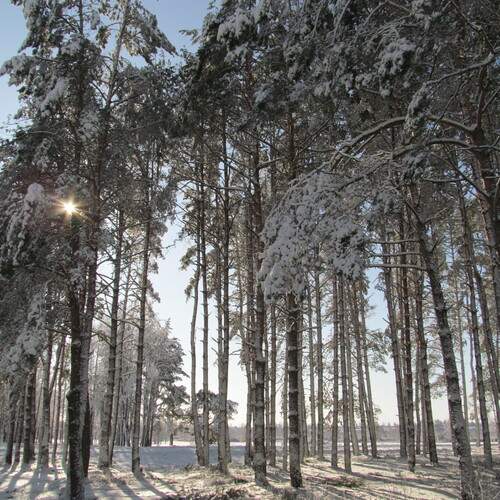 Photo #11831585
