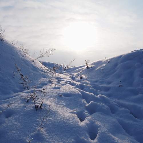 Photo #11831586