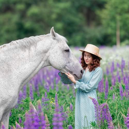 Photo #11831678