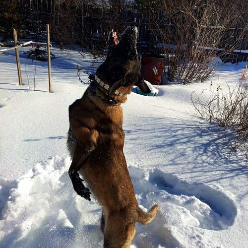 Photo #11831682