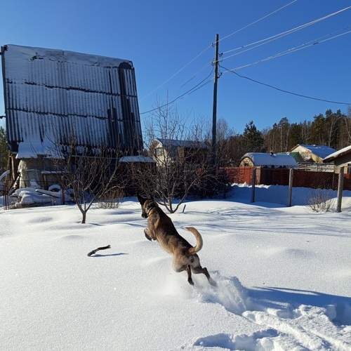 Photo #11831686