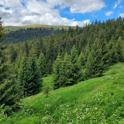 Photo #11831702