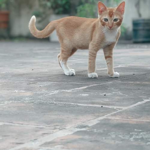 Photo #11831815