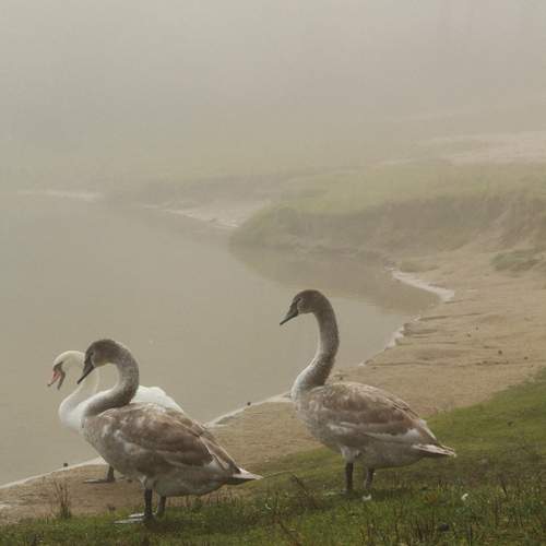 Photo #11831843