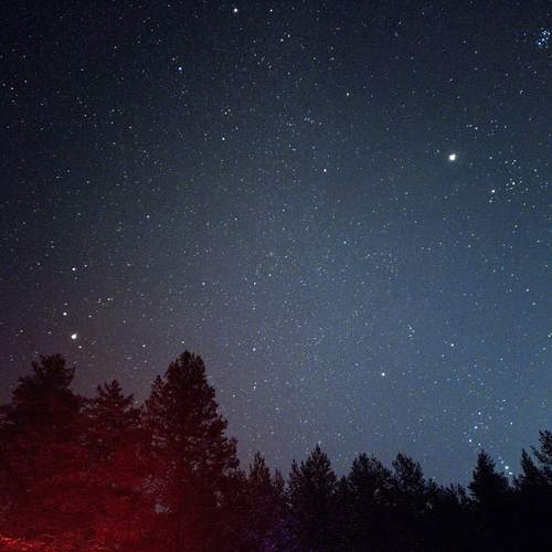 Photo #11831913