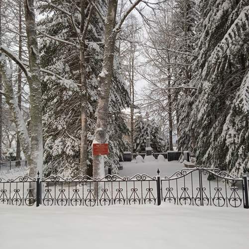 Photo #11831943