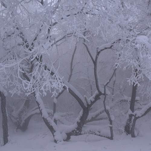 Photo #11832041