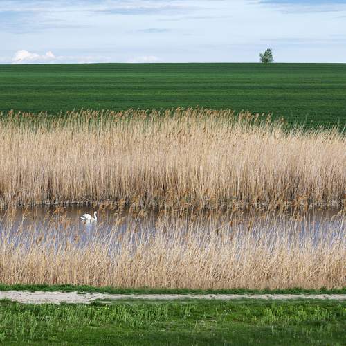 Фотография #11832082