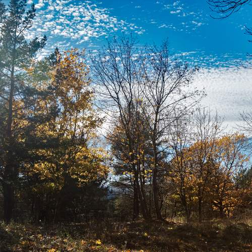 Photo #11832187