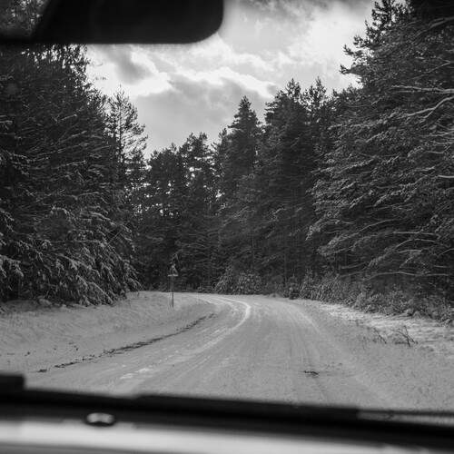 Photo #11832530
