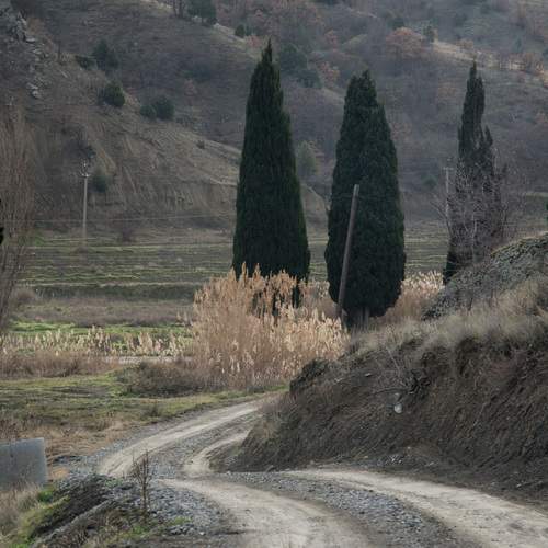 Photo #11832771