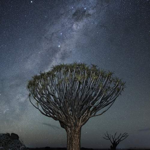 Фотография #11832880