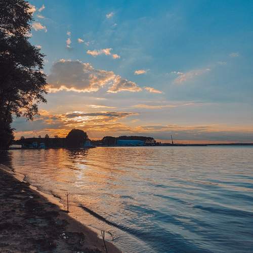 Photo #11832899