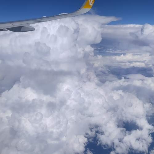 Photo #11833062