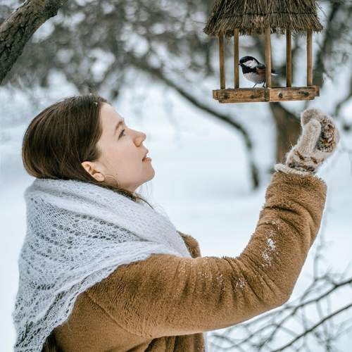 Photo #11833101
