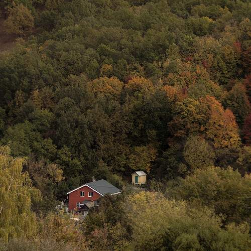 Photo #11833174