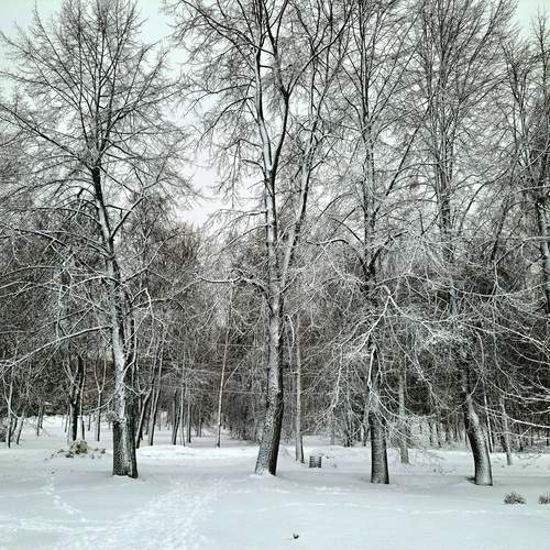Photo #11833312