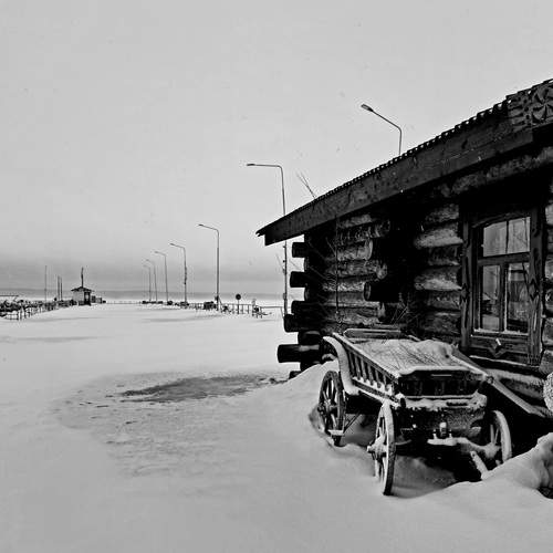Photo #11833324
