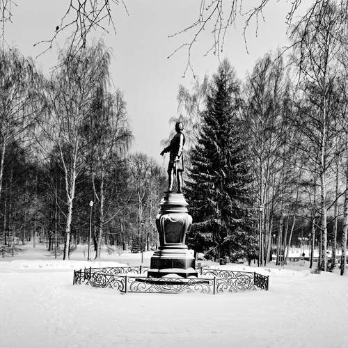 Photo #11833329