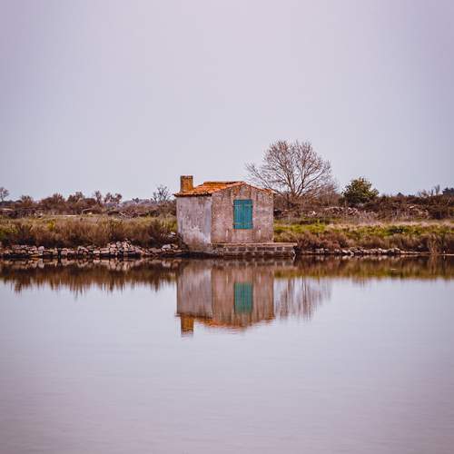 Photo #11833453