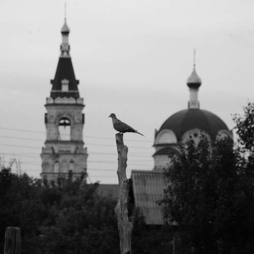 Умиротворение