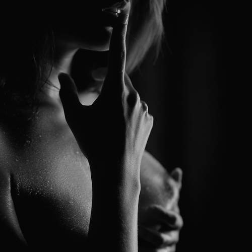 Photo #11833503